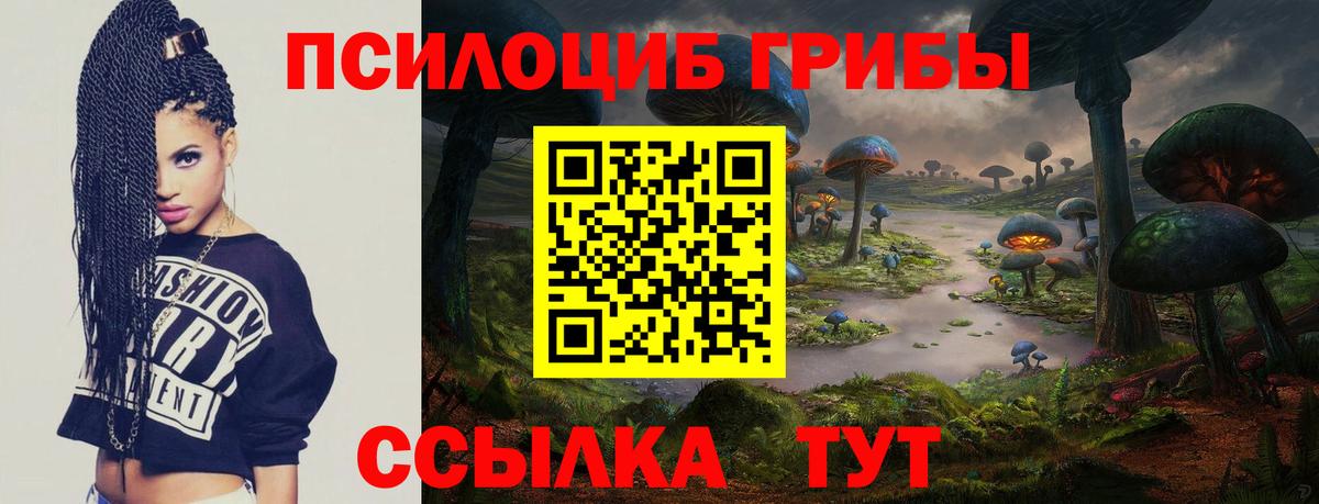 Ангарск  Псилоцибиновые грибы MAGIC MUSHROOMS  Вход с VPN  Галлюциногенные грибы мухоморы 